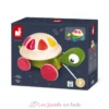 Tortue Zigolo à promener - Janod