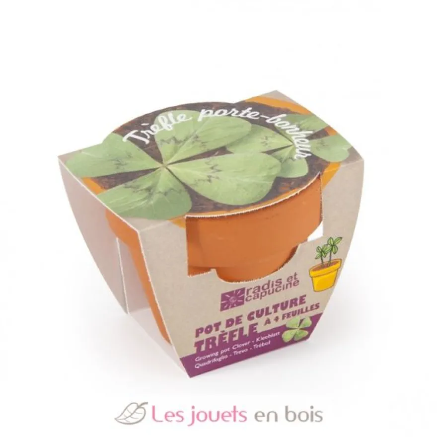 Trèfle à 4 feuilles en pot de culture - Radis et Capucine