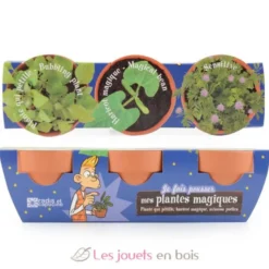 Trio de plantes magiques - Radis et Capucine