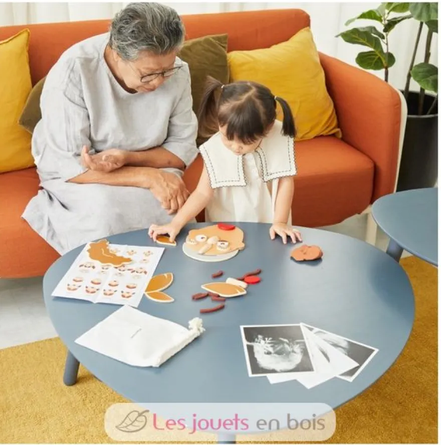 Visage et émotions - Plan Toys