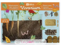 Vivarium Observation racines et vers de terre - Radis et Capucine