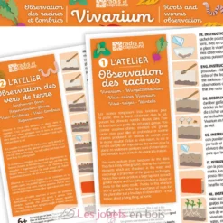 Vivarium Observation racines et vers de terre - Radis et Capucine