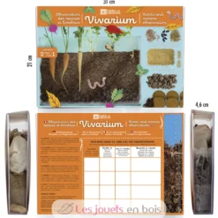 Vivarium Observation racines et vers de terre - Radis et Capucine