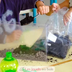 Vivarium Observation racines et vers de terre - Radis et Capucine