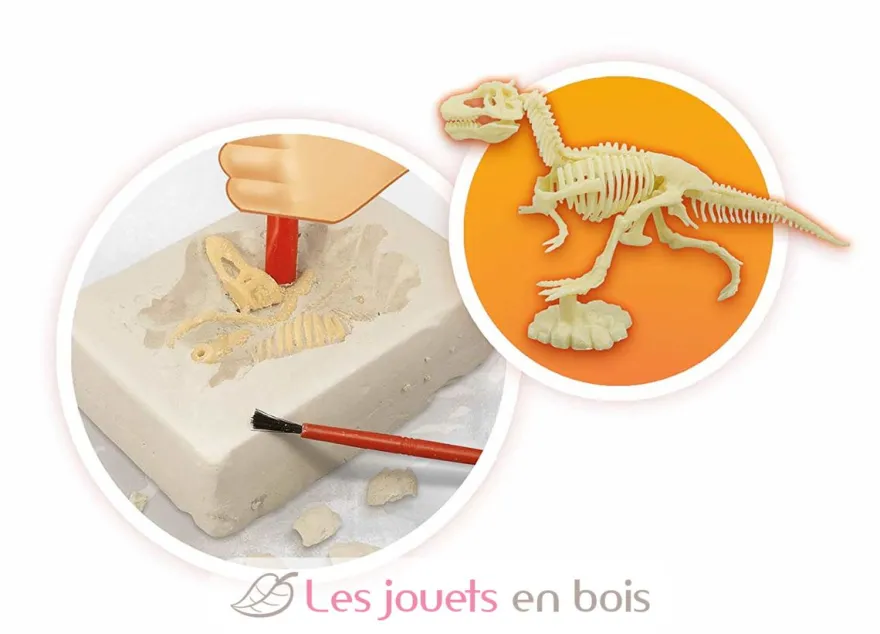 Volcans et Dinosaures - Buki France