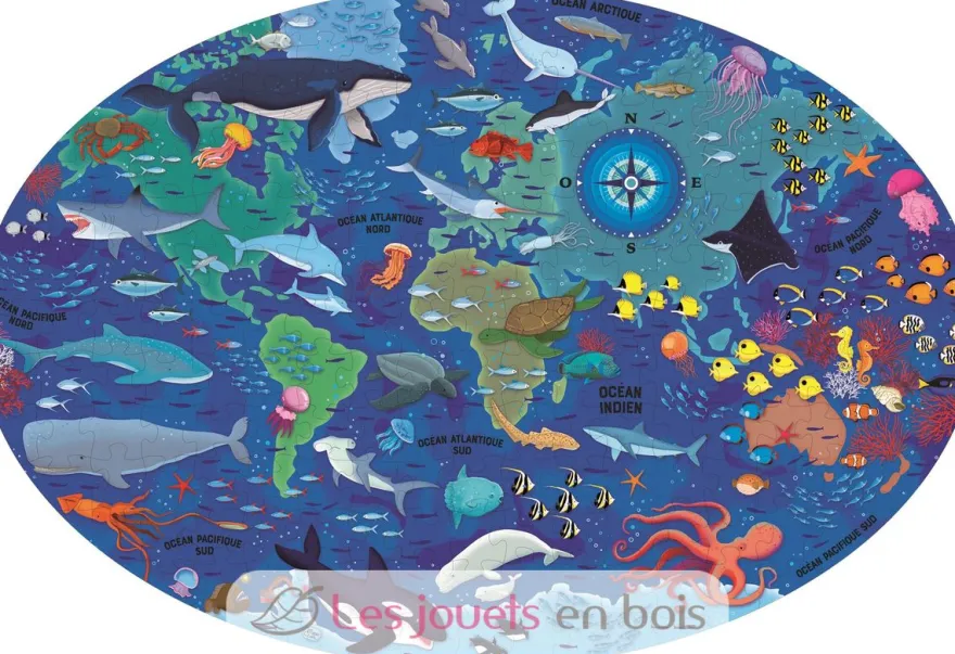 Voyage, découvre, explore - La Mer - Sassi Junior