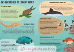 Voyage, découvre, explore - La Mer - Sassi Junior