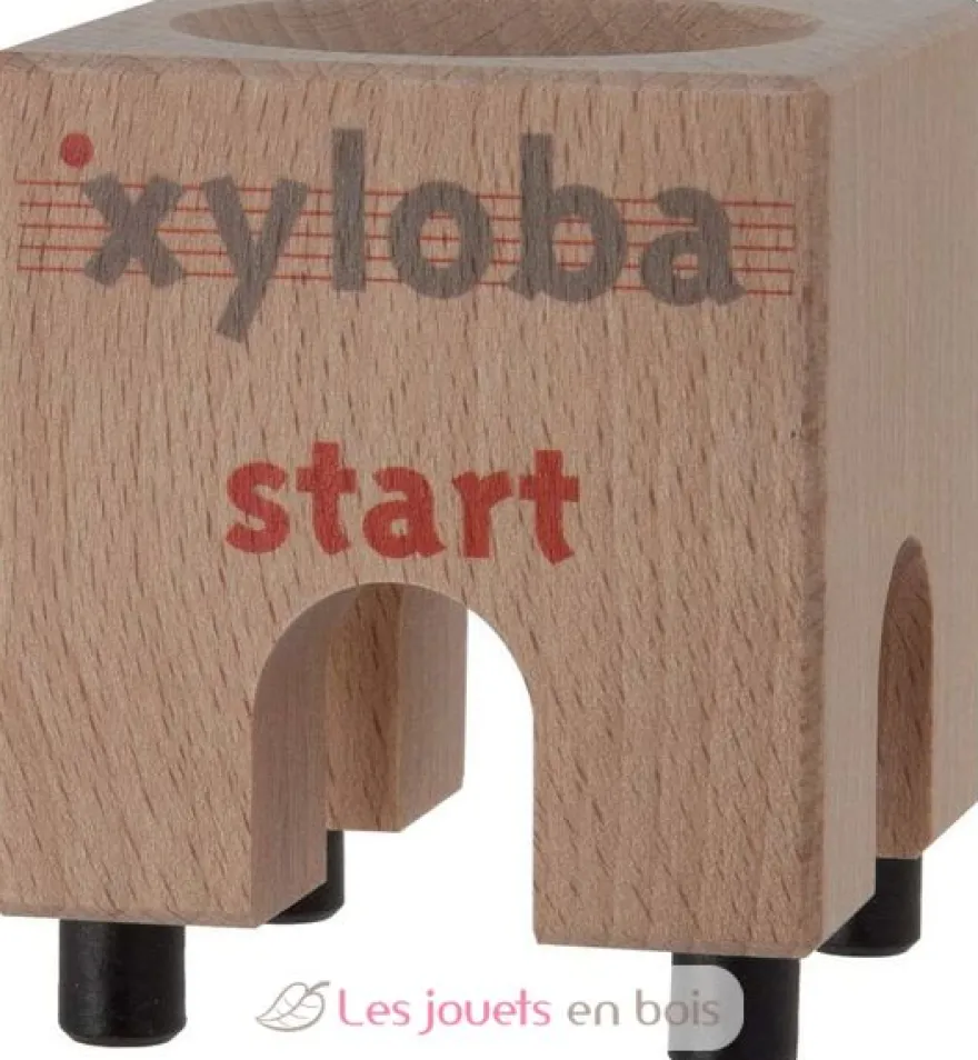 Xyloba Bloc de départ - Xyloba