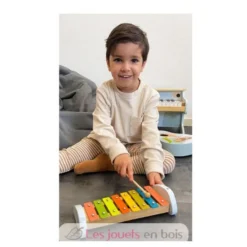 Xylophone Groovy Beats - Small Foot company